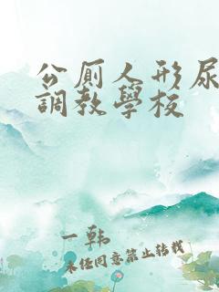 公厕人形尿便器调教学校