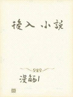 后入 小说