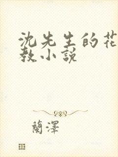 沈先生的花式调教小说