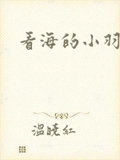 看海的小羽