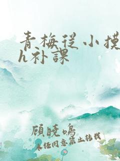 青梅从小摸到大h补课