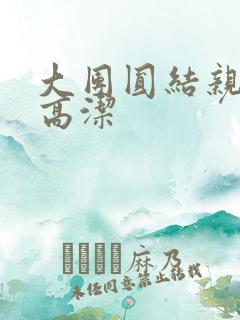 大团圆结亲情会高洁