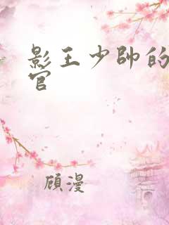 影王少帅的女长官