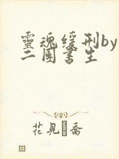 灵魂缓刑by 二团书生