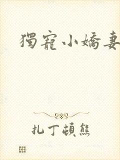 独宠小娇妻