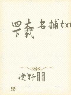 四大名捕txt下载