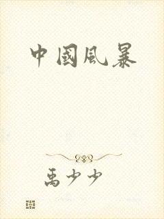 中国风暴