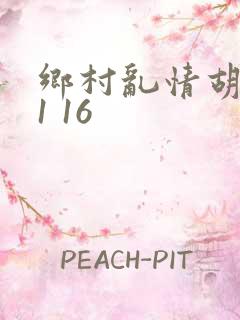 乡村乱情胡英秀1 16