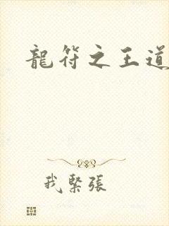 龙符之王道天下