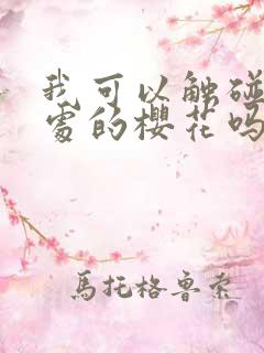 我可以触碰你深处的樱花吗