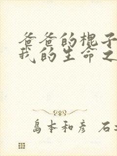 爸爸的棍子顶着我的生命之苏苗