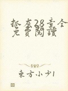 抓灰28章全部免费阅读