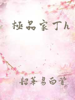 极品家丁h