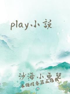 play小说