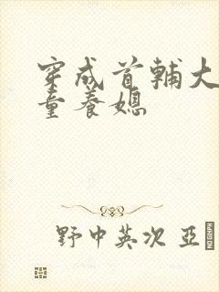 穿成首辅大人的童养媳