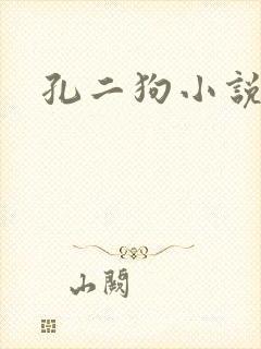 孔二狗小说