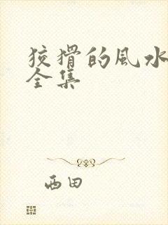 狡猾的风水相师全集