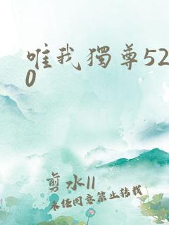 唯我独尊5200