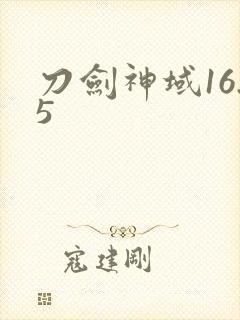 刀剑神域16.5