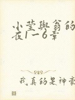 小莹与翁的销魂夜1一6章