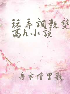 玩弄调教双胞胎高h小说