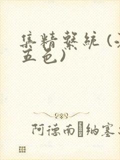 集精系统 (江五色)