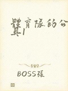 体育队的公用玩具1