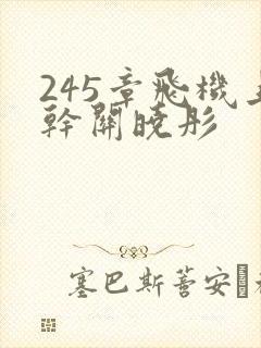 245章飞机上干关晓彤