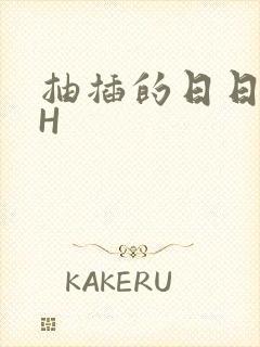 抽插的日日液液H