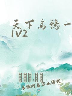 天下乌鸦一般黑1V2