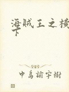 海贼王之横行天下