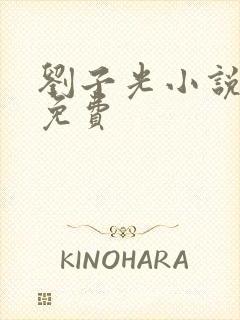 刘子光小说全文免费