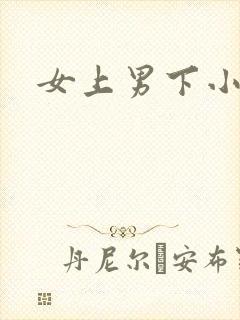 女上男下小说