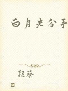 白月光分手日常