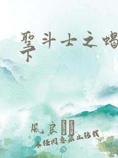 圣斗士之蝎行天下