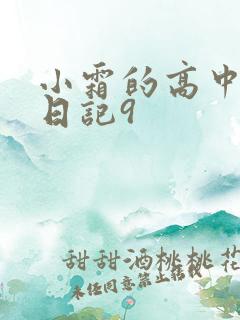 小霜的高中成长日记9