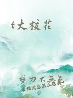 t大校花