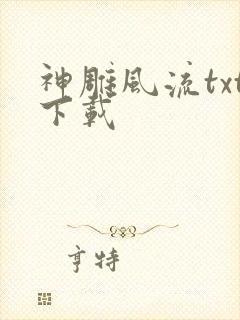 神雕风流txt下载