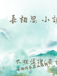 长相思 小说