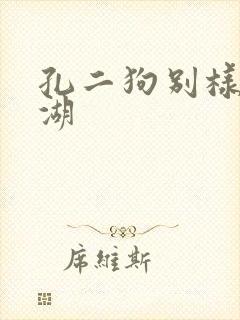 孔二狗别样的江湖