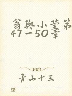 翁与小莹第十部47一5O章