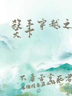 杀手穿越之倾城天下