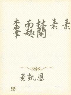 李南林素素小说笔趣阁