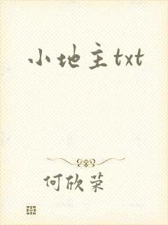 小地主txt