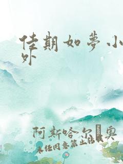 佳期如梦小说番外