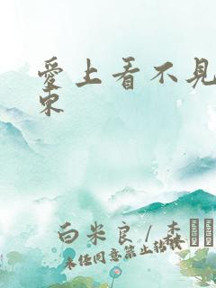 爱上看不见的房东