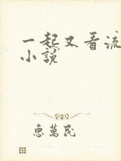 一起又看流星雨小说