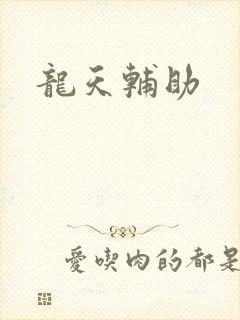龙天辅助