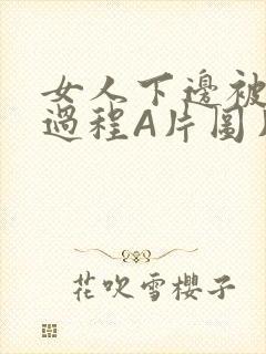 女人下边被添全过程A片图片小说