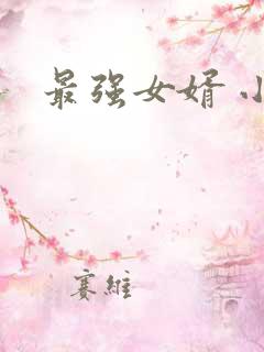 最强女婿 小说